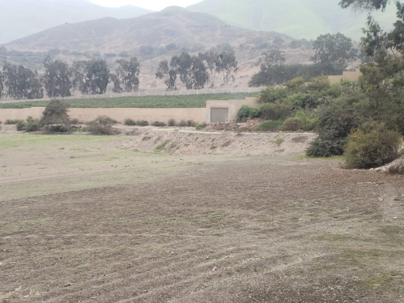 Terreno en Pachacamac