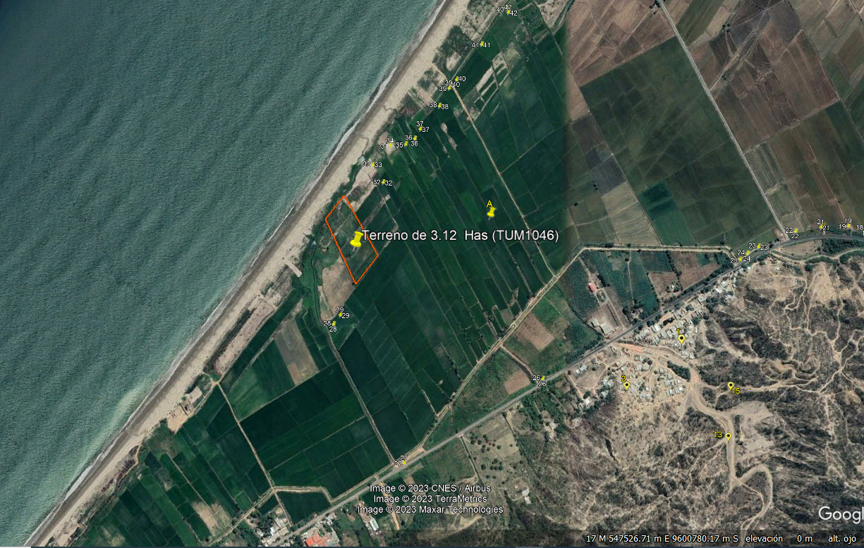 11 Terreno en Playa Hermosa, Tumbes de 3.12 has