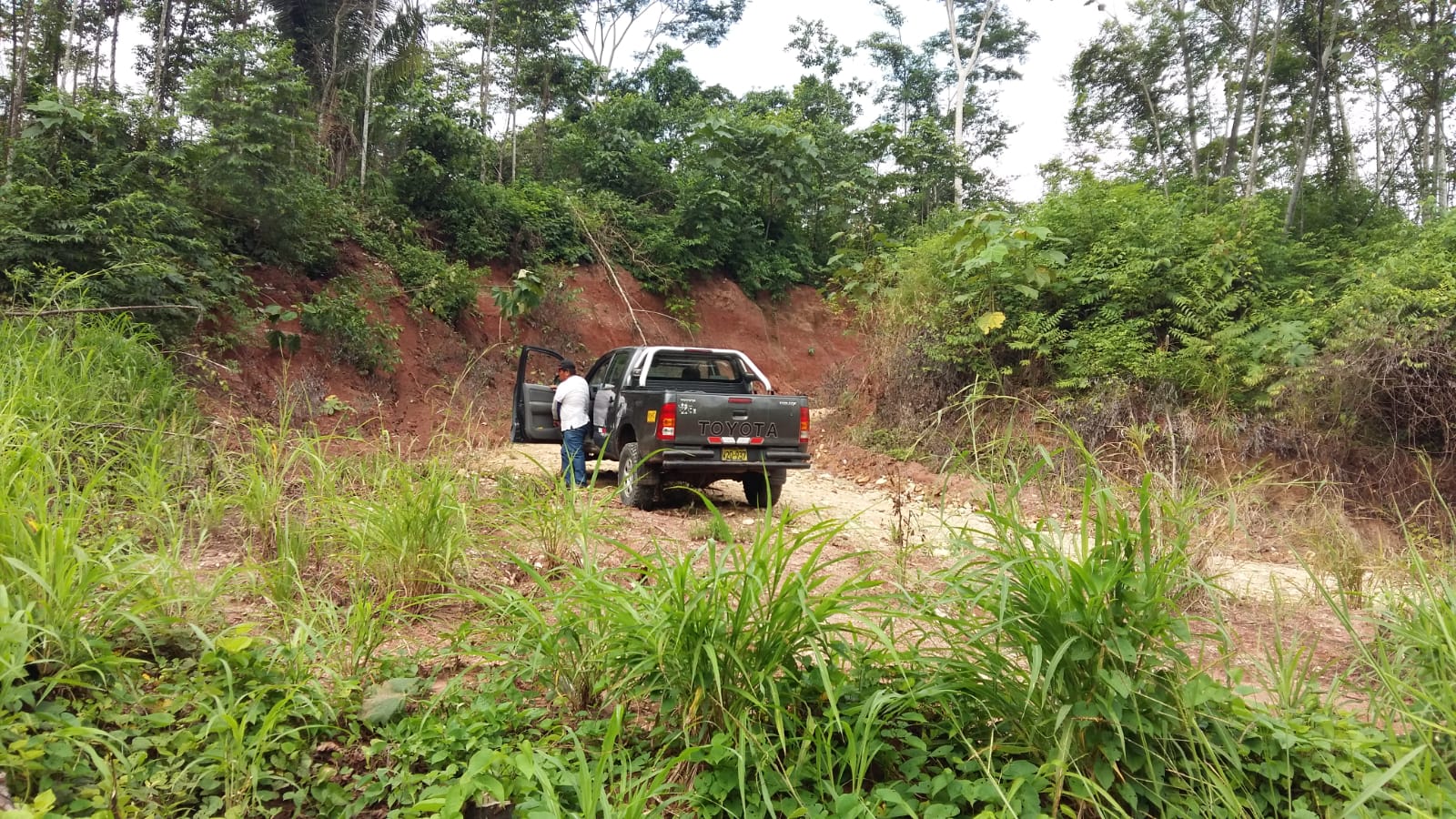 2 Terreno en Huanuco, Agricola y Pecuario en Yanayacu, Yuyapichis, Huanuco