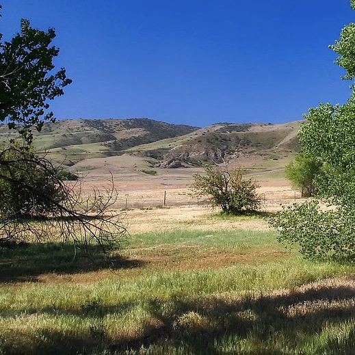 Terrenos-Casas de Campo