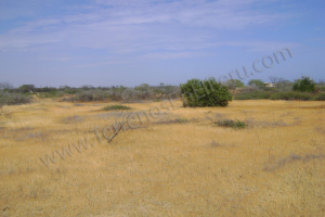 Terreno 8 copy