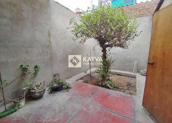 FY0025 (24)